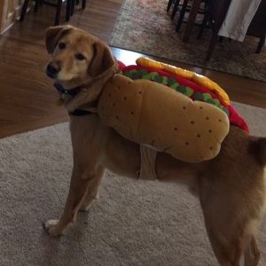 Meet your Posher, Drew